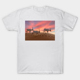 Oryx at sunset in the Arabian desert T-Shirt